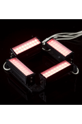  RGBW Illumination - MLBQ